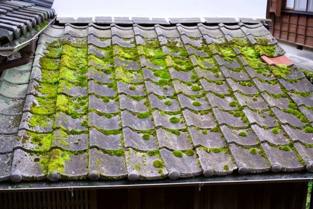Maison avec toiture en tuiles, exemple de couverture à Chaville