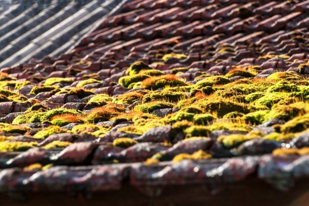 Fenêtre de toit apportant de la lumière naturelle dans les combles