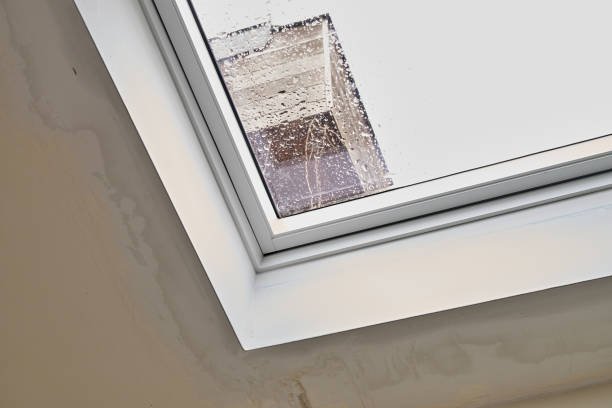 Pourquoi envisager une pose Velux à Chaville avec un système de ventilation intégré dans des combles sujets à la condensation ?